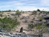 Gianna Drive photo